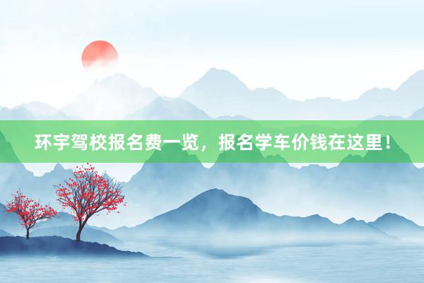 环宇驾校报名费一览，报名学车价钱在这里！